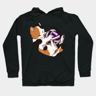 Asexual Pride Calico Cat Hoodie